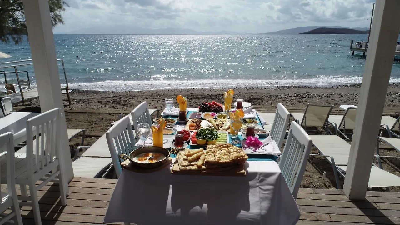 Herodot Beach Otel Ortakent